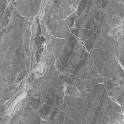 Avignon Gris Mate 60x60