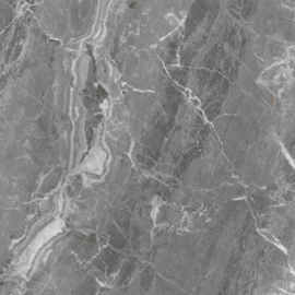 Avignon Gris Mate 60x60