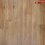 LVT Gluedown 5 mm Roble Canadiense