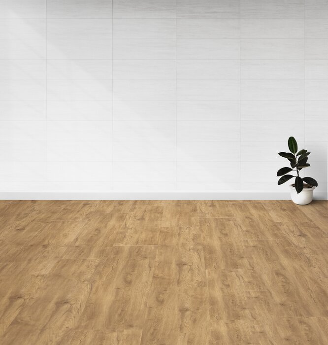 Gluedown 1.5mm Roble Canadiense