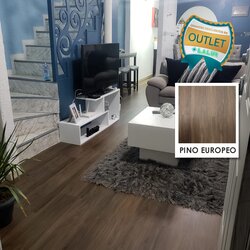 Looselay Pino Europeo