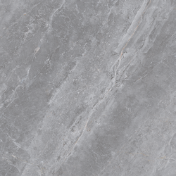 Lille Gris Mate 60x60