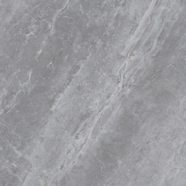 Lille Gris Mate 60x60