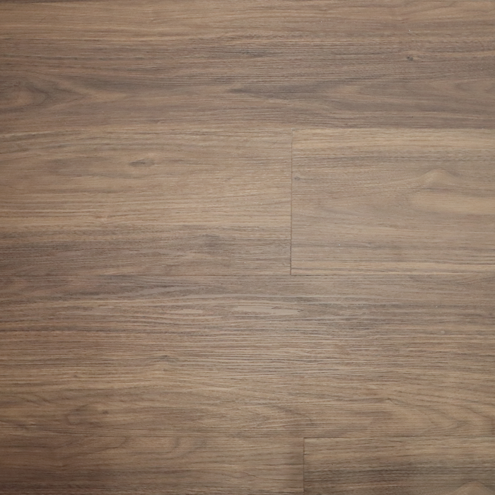 Looselay Pino Europeo