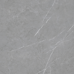 Alfa Gris Mate 60x60