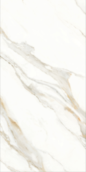 Carrara Gold Pulido 60x120 Carrara Gold Pulido 60x120