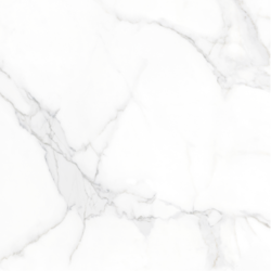 Statuario Venato Mate 60x60