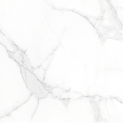 Statuario Venato Mate 60x60