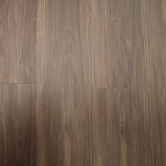 Looselay Pino Europeo