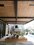 Gluedown 1.5mm Roble Canadiense
