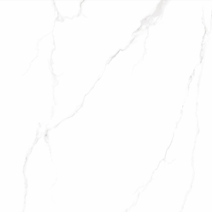 Statuario Mate 60x120