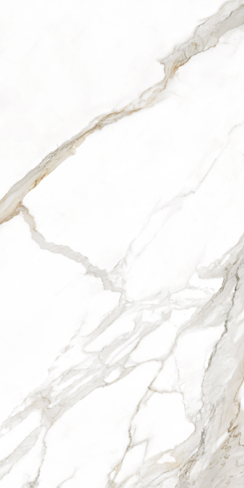 Dorado Pulido 60x120