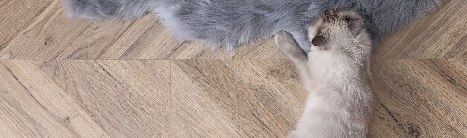 Gato jugando sobre piso LVT pet friendly