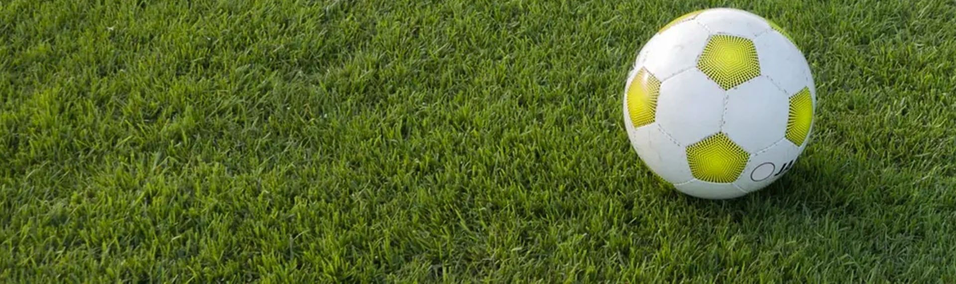 pasto sintético para áreas deportivas