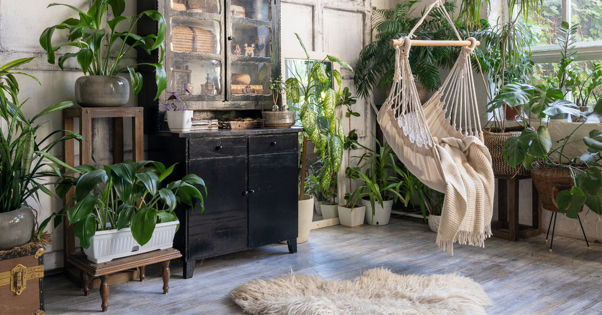 interior decorado con plantas y piso tipo madera