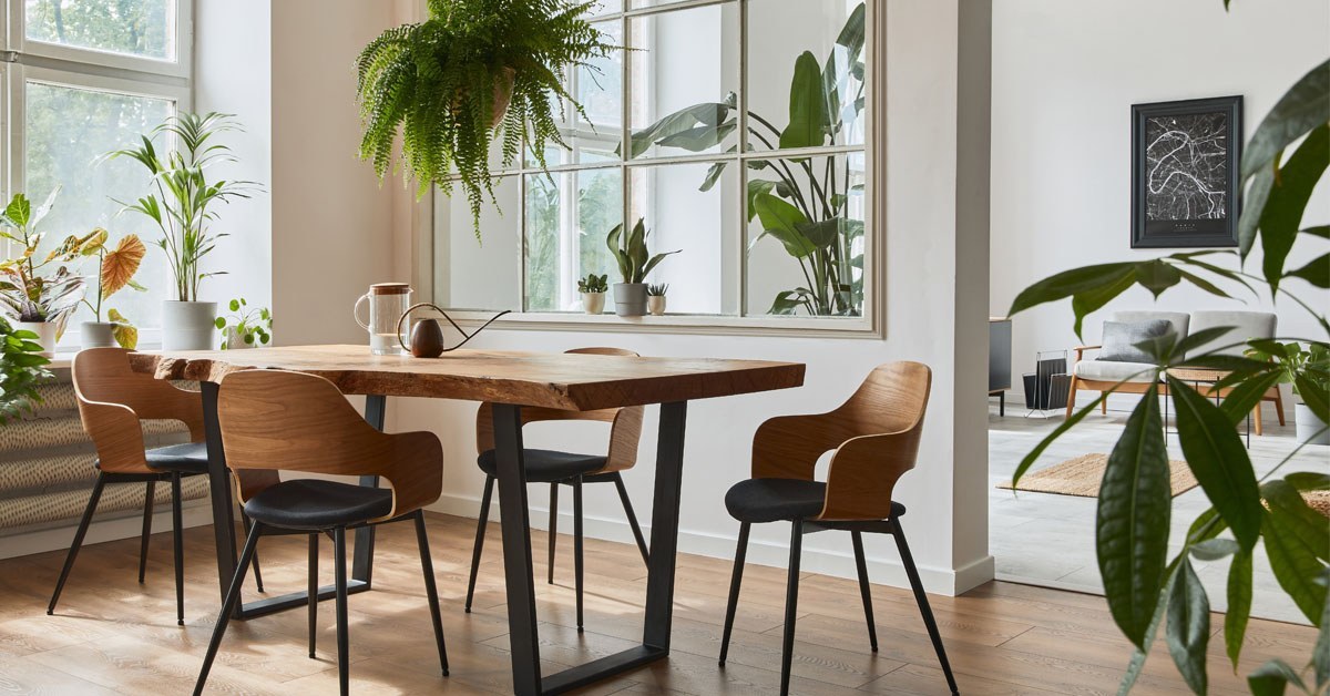 comedor decorado con plantas para interiores