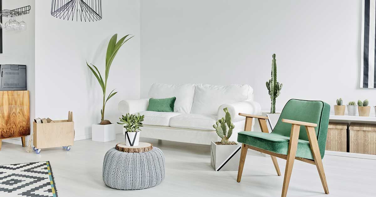 sala minimalista decorada con plantas
